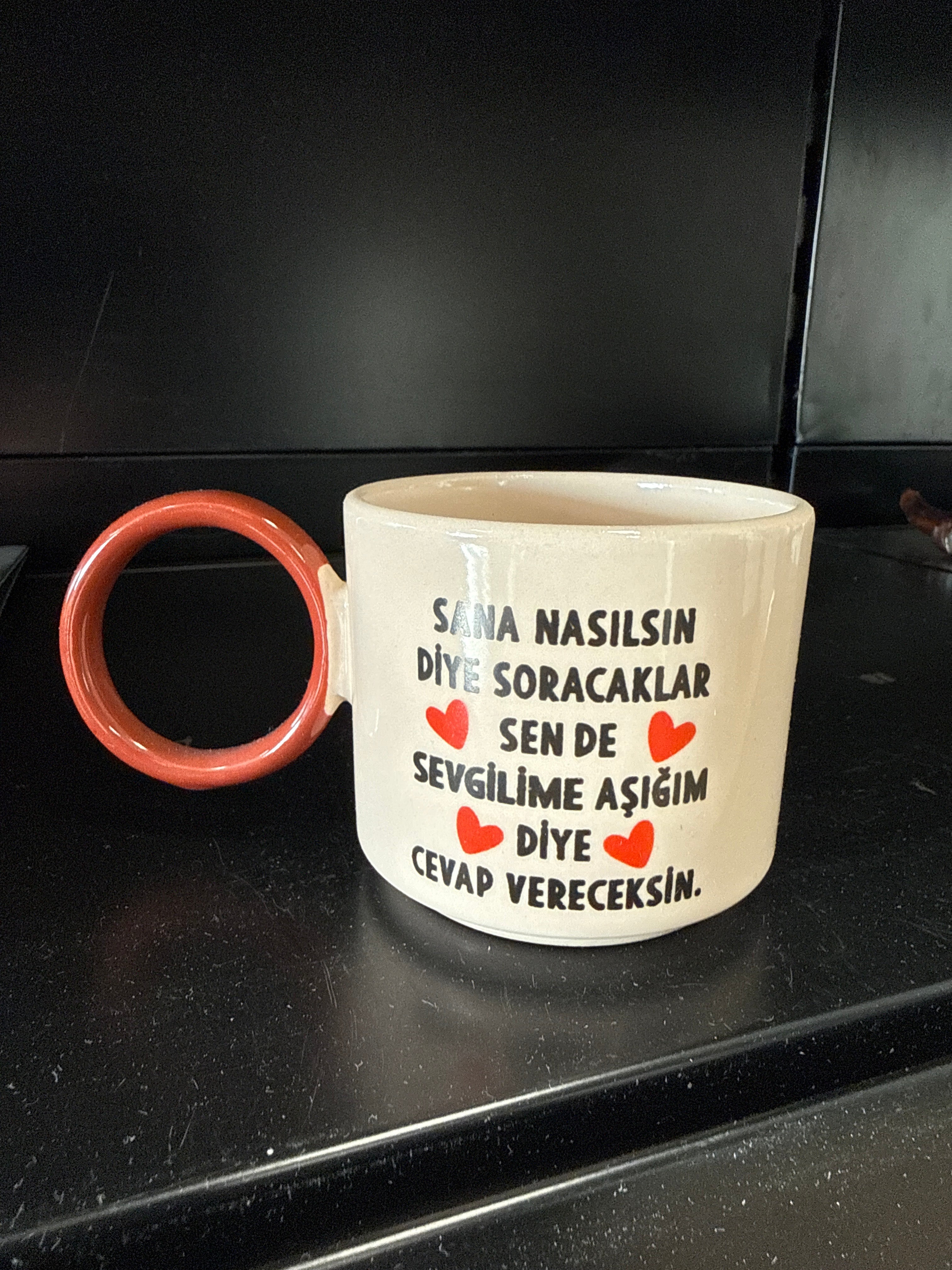 Sana nasilsin diye soracaklar, sevgilime asigim