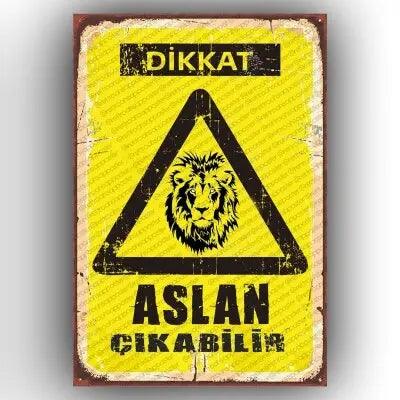Dikkat ASLAN cikabilir!