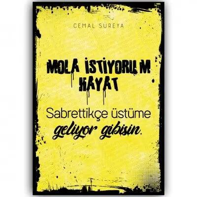 Mola istiyorum hayat