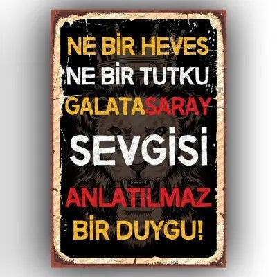 Galatasaray- Ne bir heves..