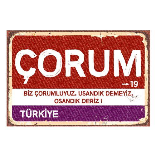 Çorum - Sehir Tabelasi