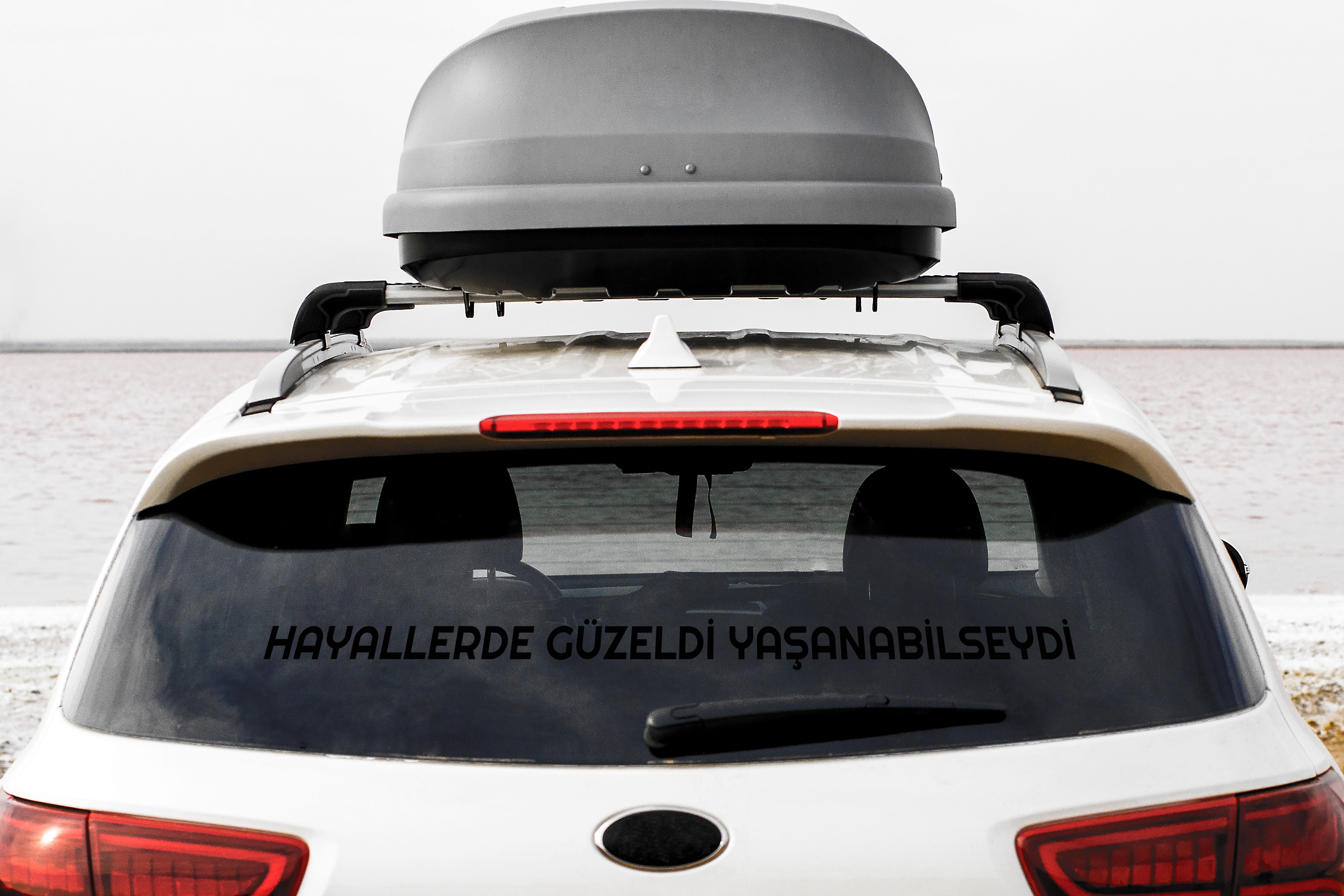 Hayallerde guzeldi yasanabilseydi Sticker