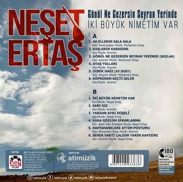 Neset Ertas - Gonul ne gezersin (PLAK)