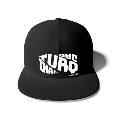 Originele Turq Snapback Hat 