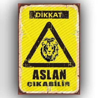 Dikkat ASLAN cikabilir!