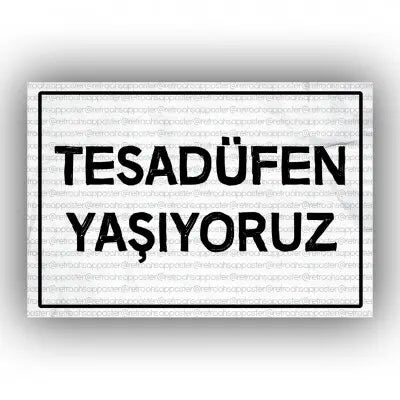 Tesadufen yasiyoruz