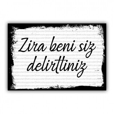 Zira siz beni delirttiniz..